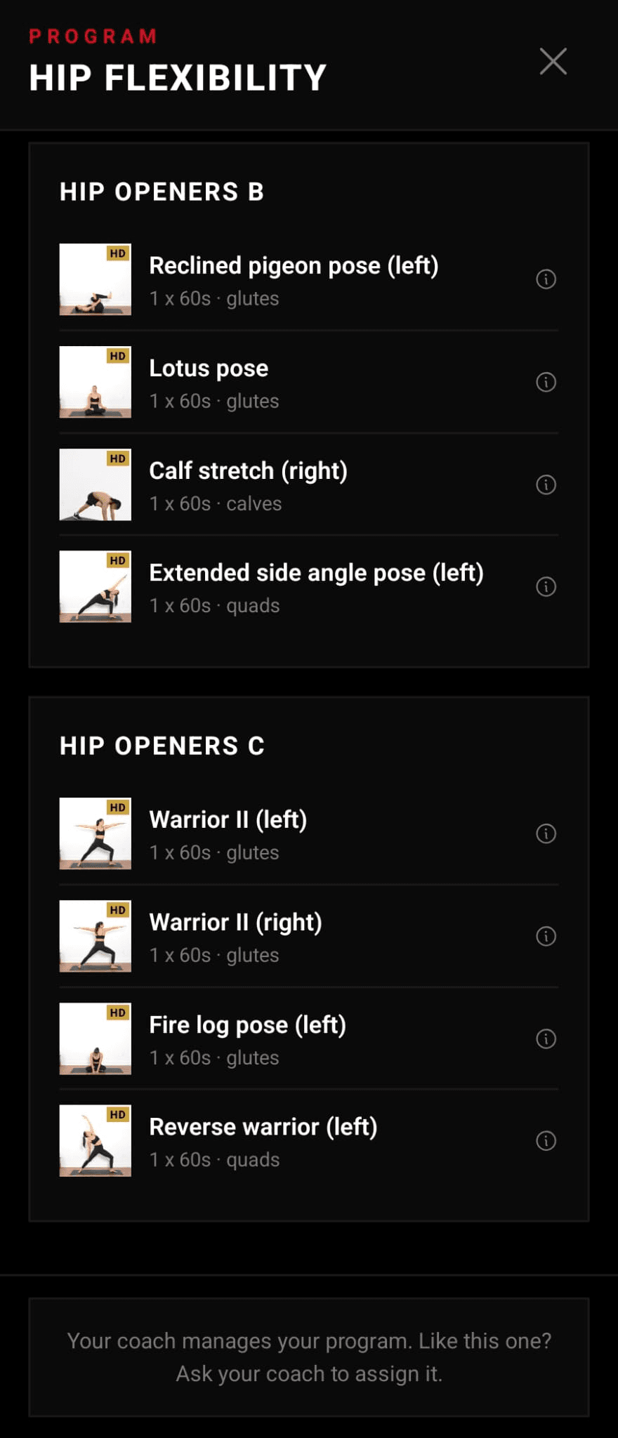 Program detail screen with weekly schedule and exercises